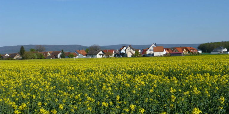 Wanderung in den Mai